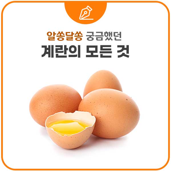 계란의-모든-것(사진출처-식품의약품안전처)