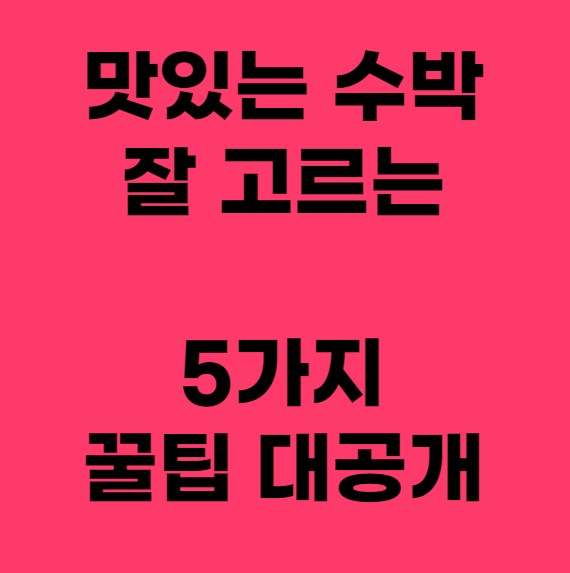 맛있는 수박 고르는 방법 공개 섬네일 사진