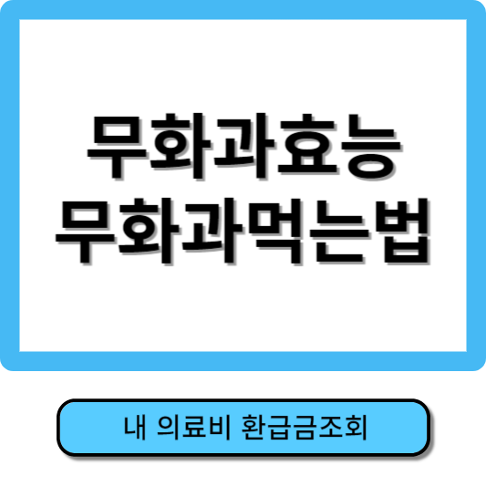 무화과효능