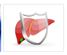 감마지티피-사진5