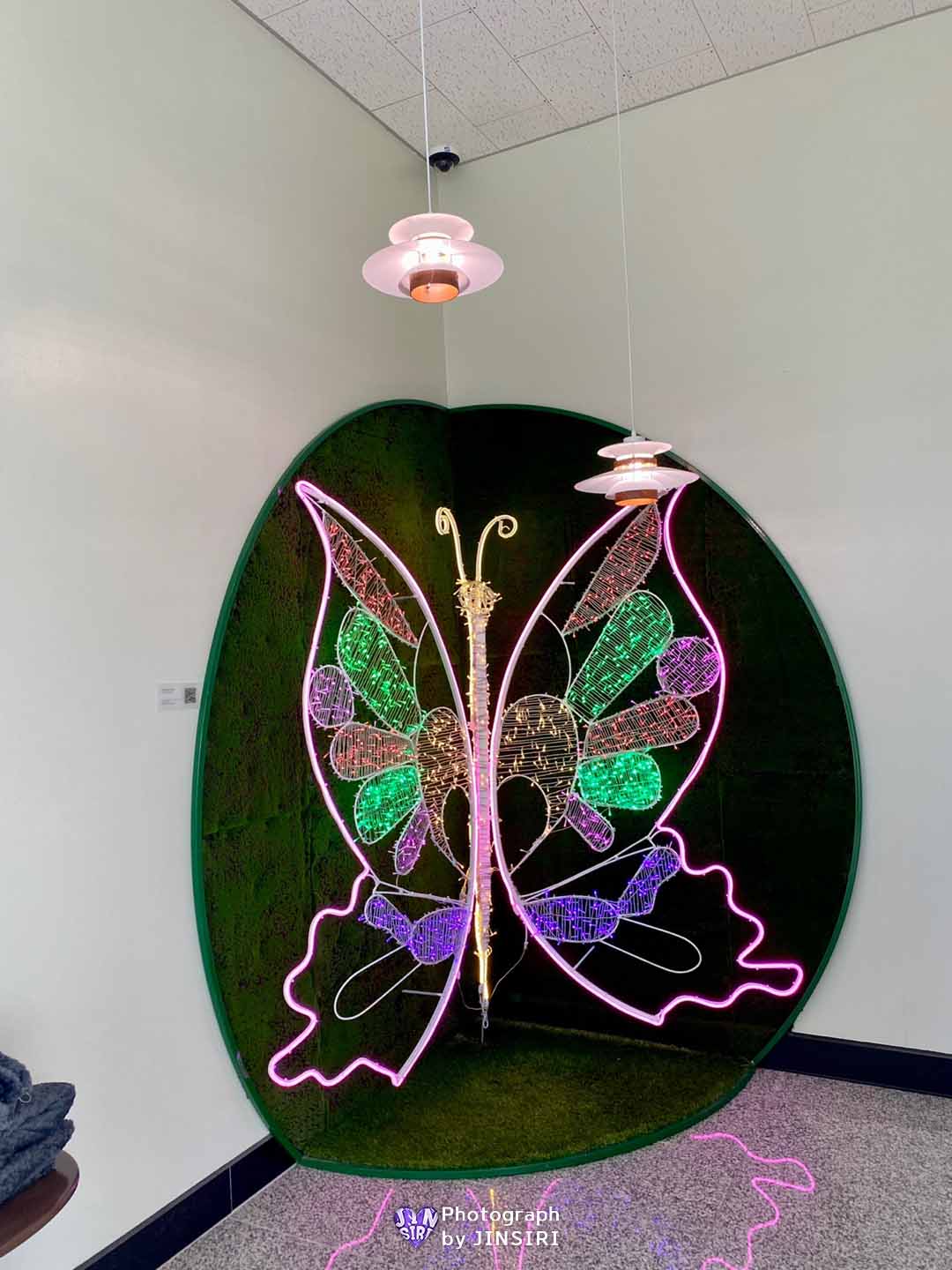 ๊นํฌ ํ๋์์ธ๋ ๋ฒ ์ด์ปค๋ฆฌ ๋ํ์นดํ ์์ธ๊ทผ๊ต ๋๋ผ์ด๋ธ ๋นต์