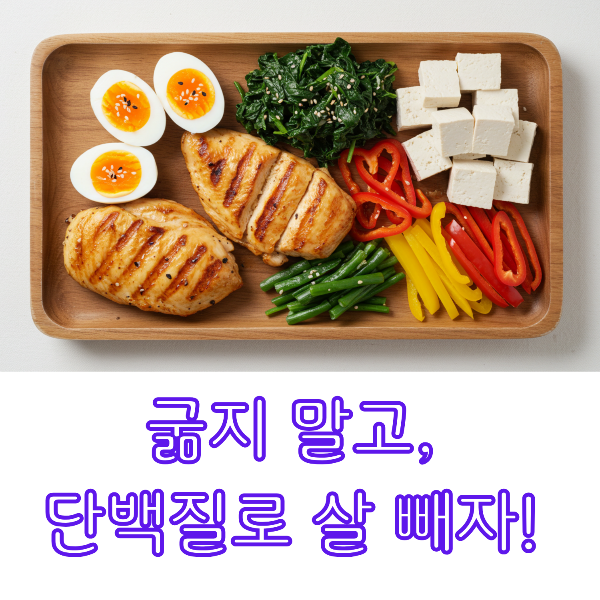 계란, 닭가슴살, 파프리카, 두부 이미지