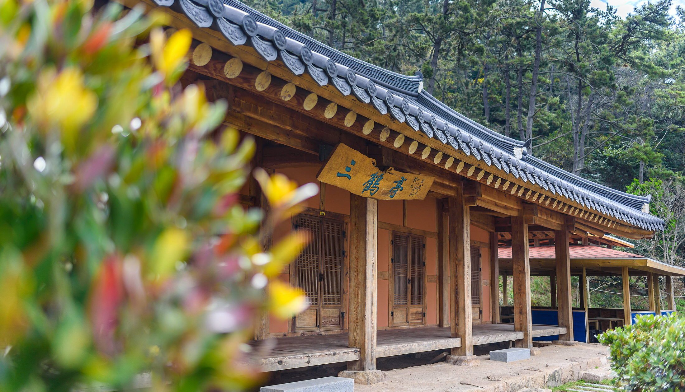 빈집 탐험대 파도까지 다섯 발자국 목포 외달도 한옥민박 펜션 숙소 여행 가볼만한 곳 추천
