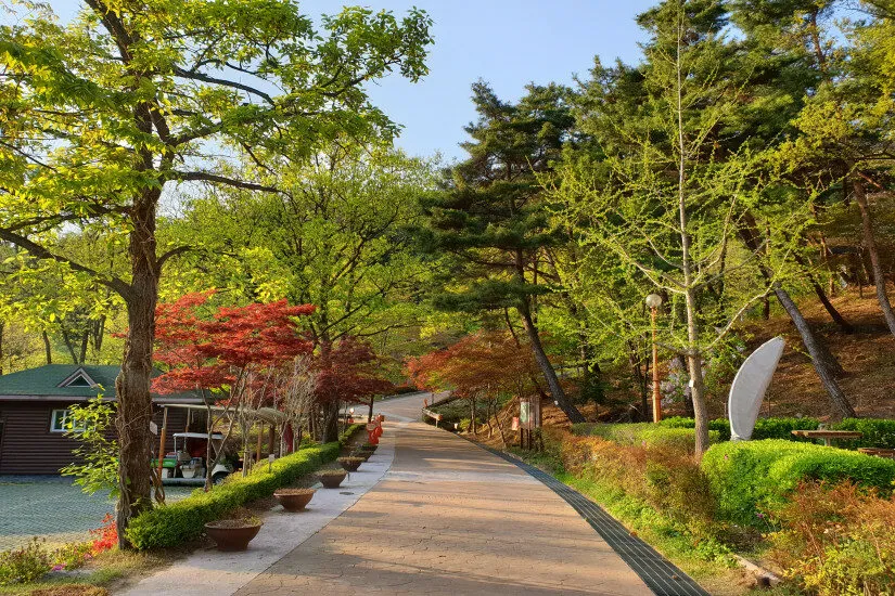 자연휴양림 예약정보시스템 바로가기 완벽 이용 가이드_1