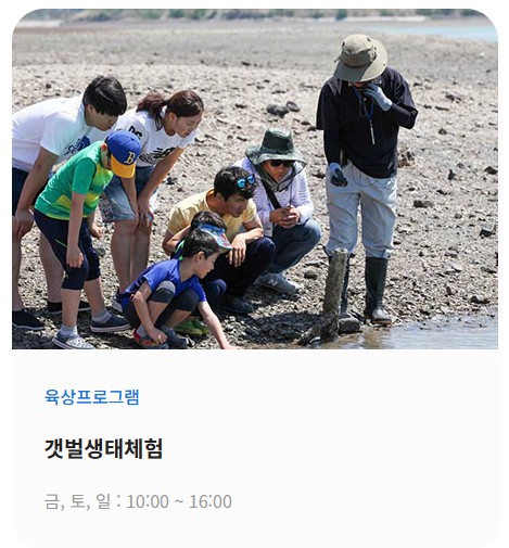 갯벌생태체험사진