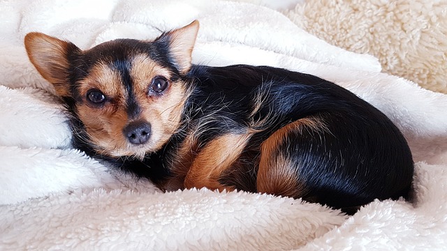 수지맞은 우리 등장인물