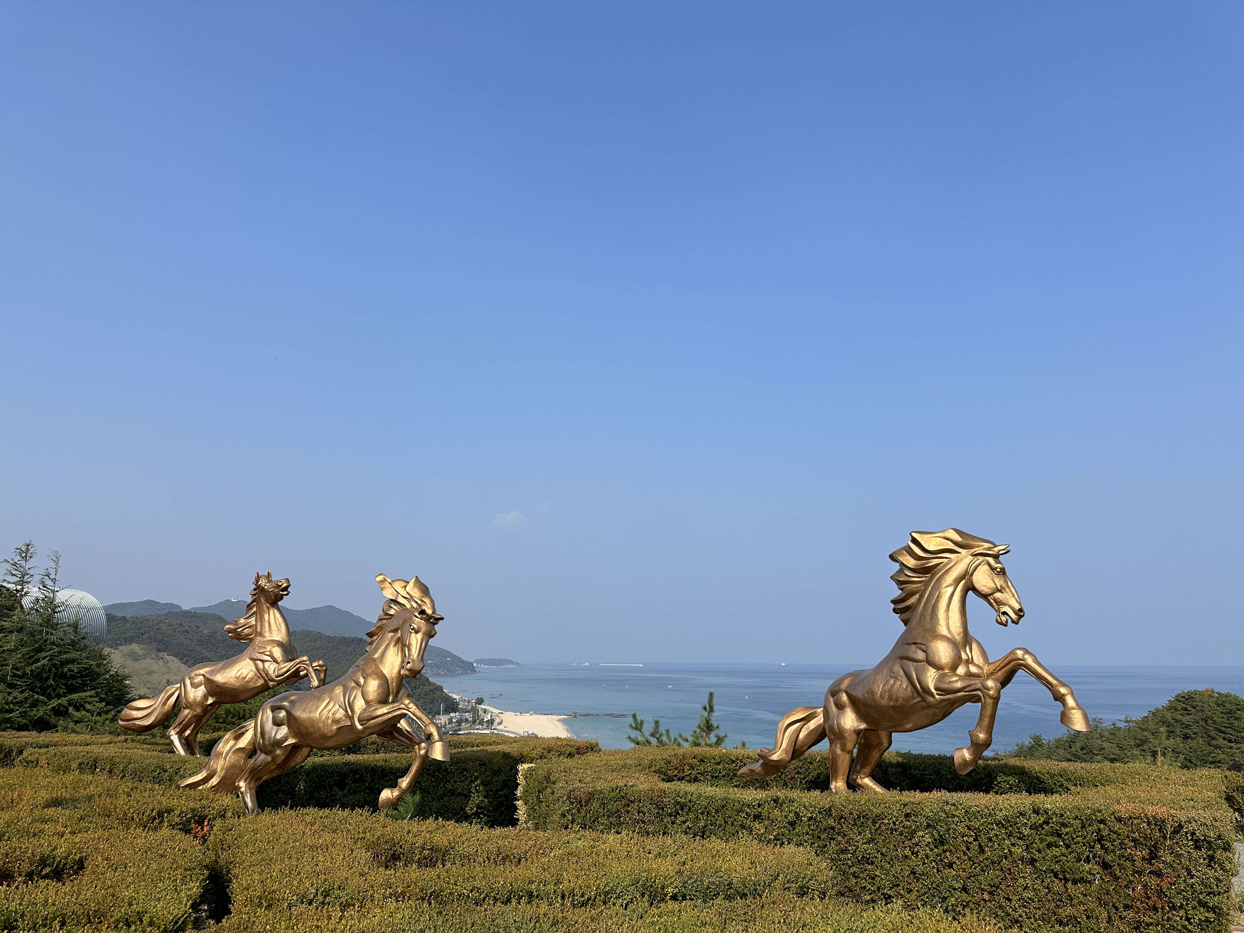 정동진 조각공원 말 조각상