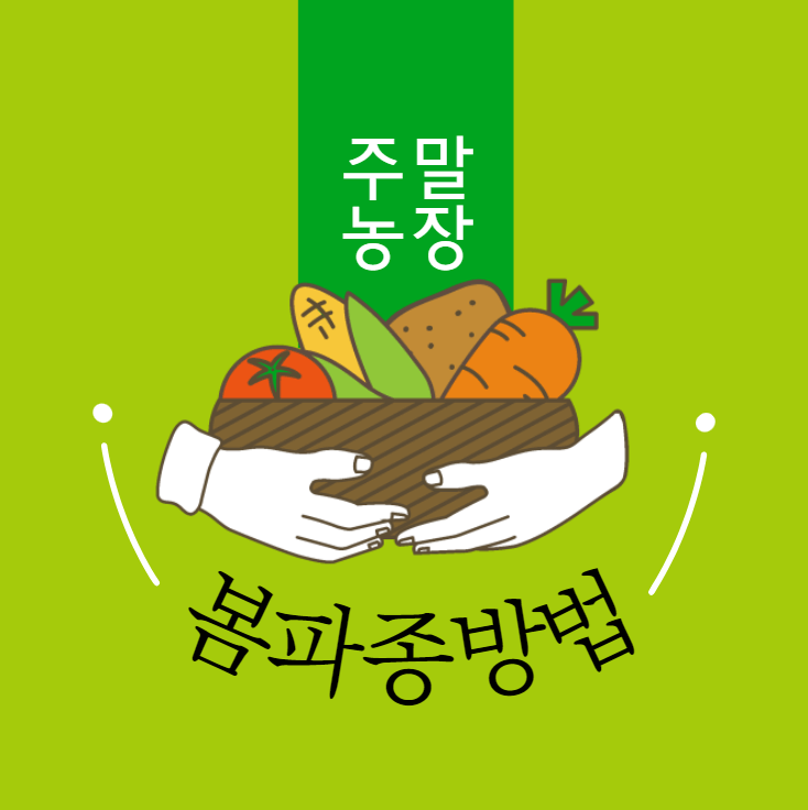 봄 파종 방법