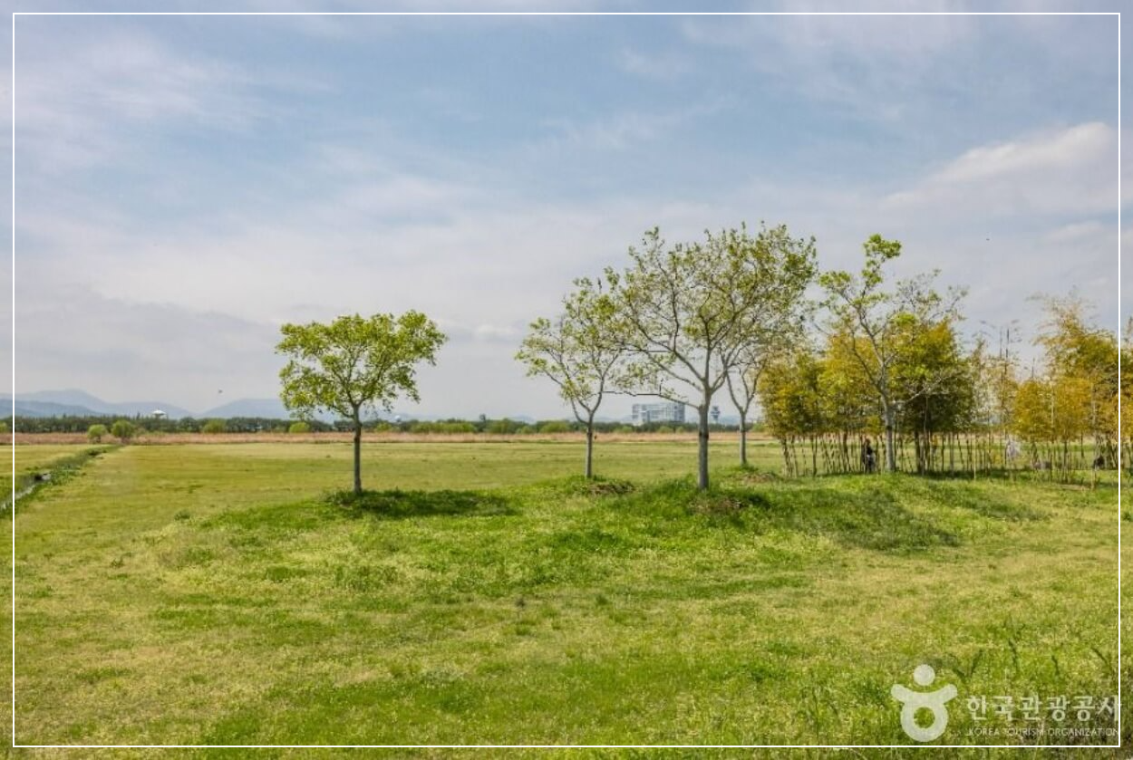 부산 가볼만한곳 베스트10 삼락생태공원