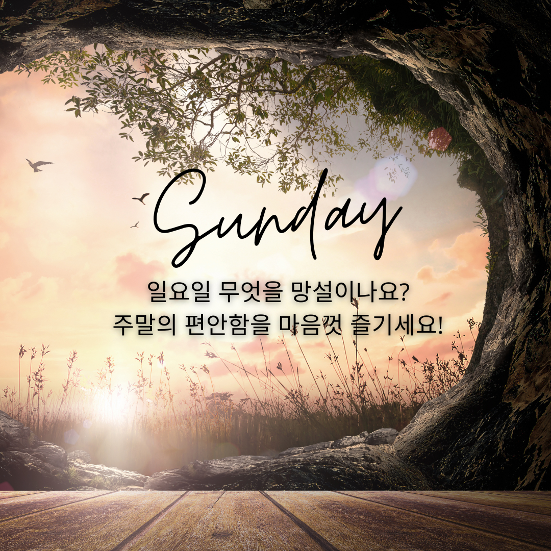 일요일 아침 인사말 이미지 문구 모음집
