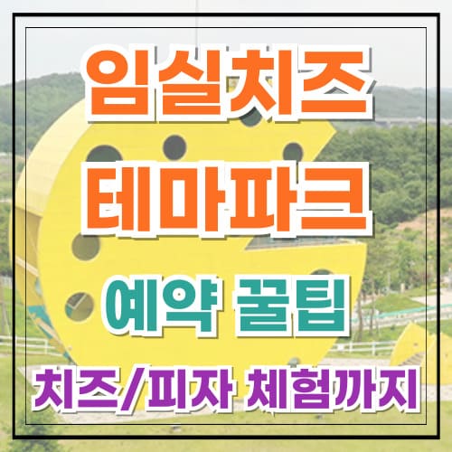 임실치즈테마파크 예약 꿀팁 치즈 만들기부터 피자 체험까지