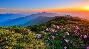 2024 영주 소백산철쭉제 기본일정과 프로그램 정리 경서 이세벽 노을 문초희 출연