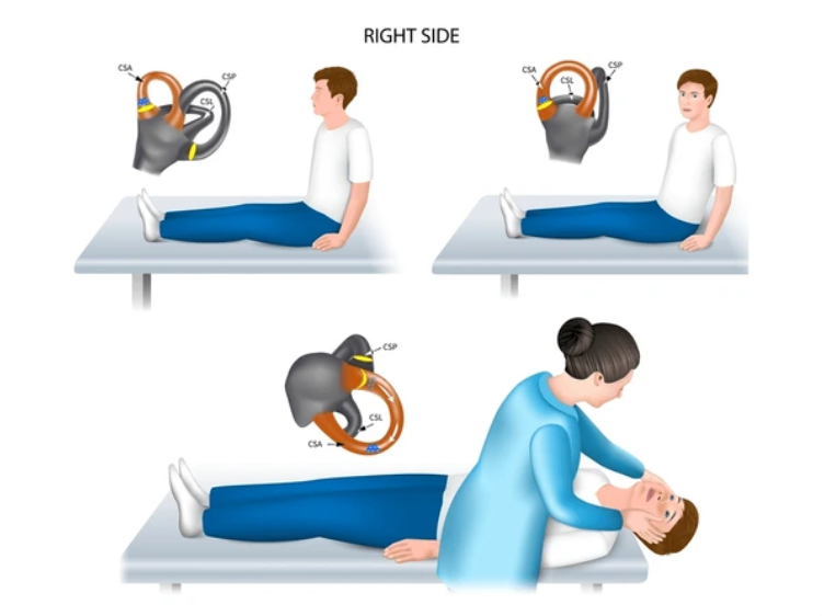 딕스 홀파이크 오른쪽 검사 인포그래픽