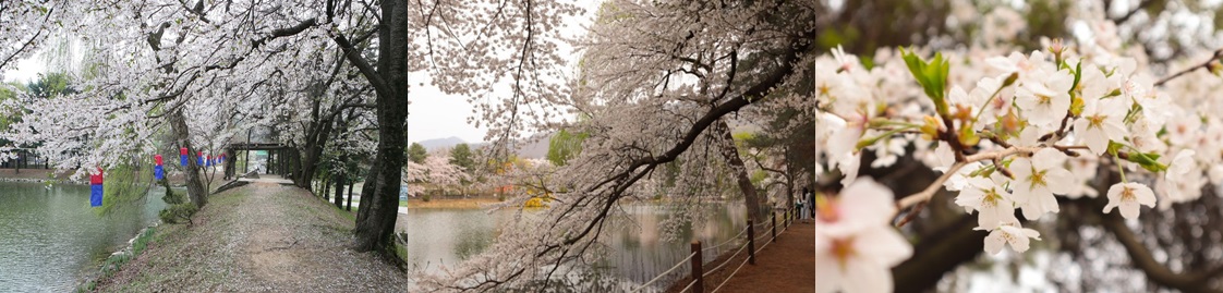 가평군 공식 블로그
