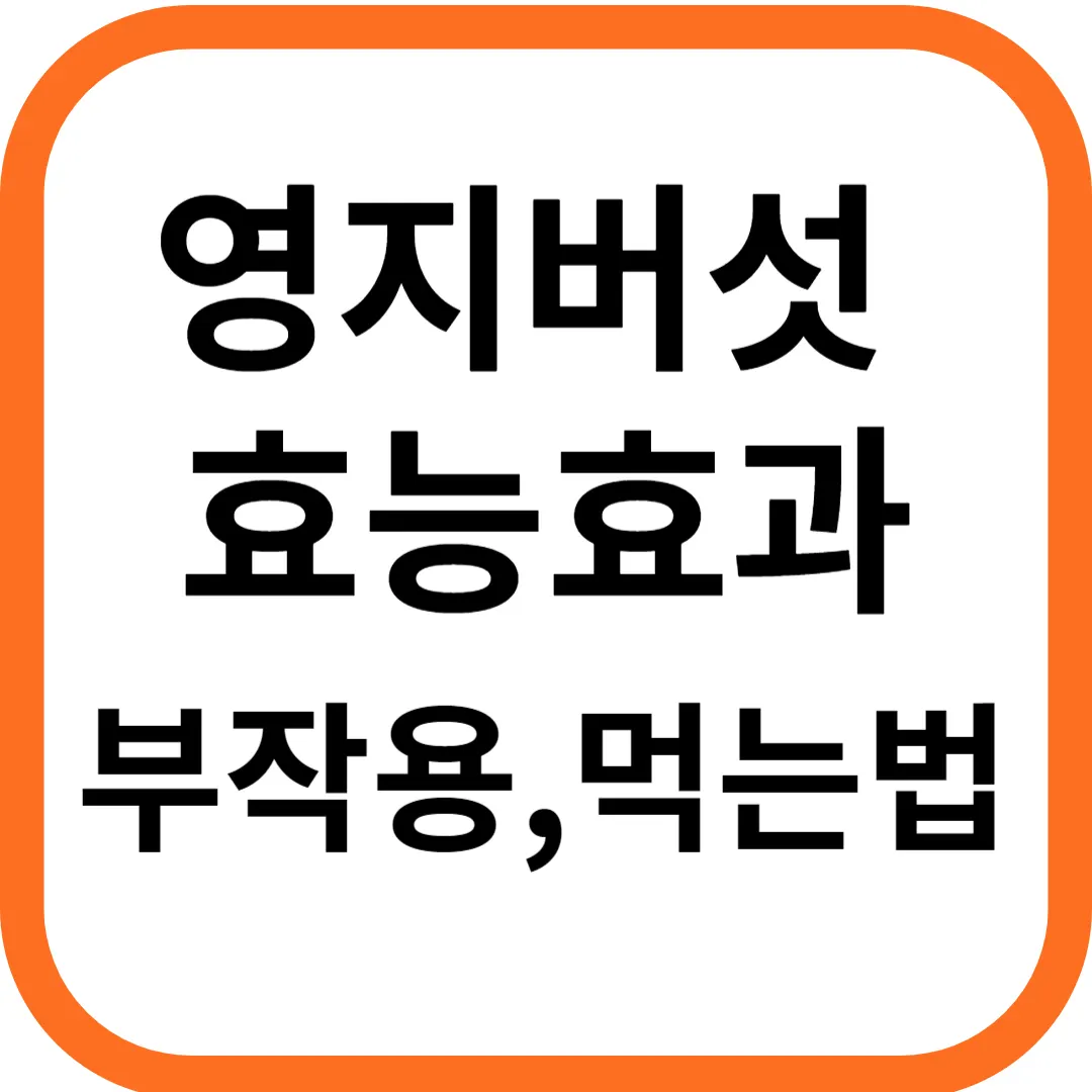 영지버섯 효능 효과 및 부작용 먹는 방법