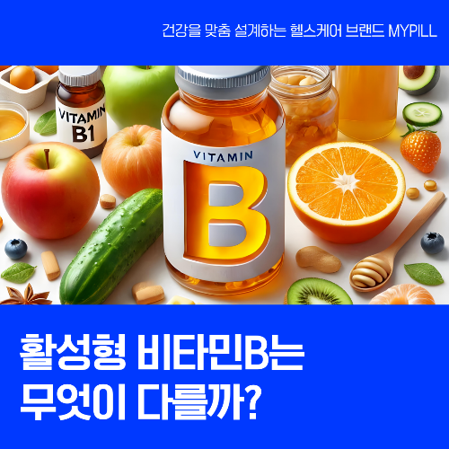 비타민B 완벽 정리