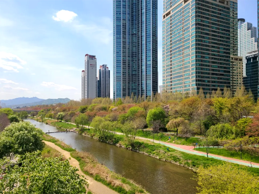 양재천 나들이 마무리