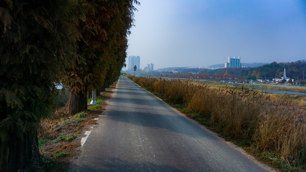 자연 도시 풍경 사진