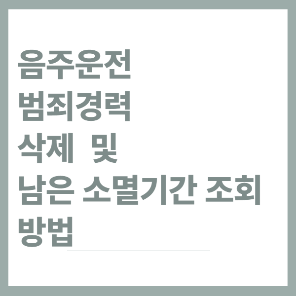 음주운전-범죄경력조회