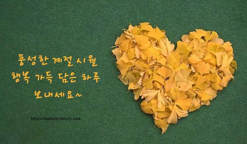 은행잎-하트-이미지