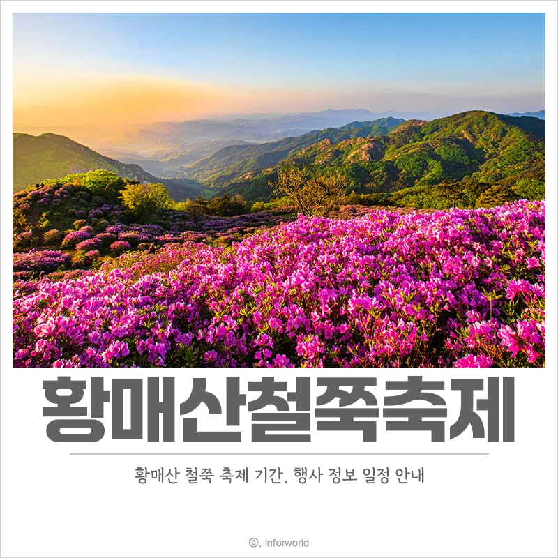 황매산-철쭉축제-기간-일정-정보