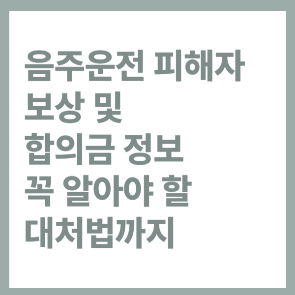 음주운전피해자보상-합의금 정보