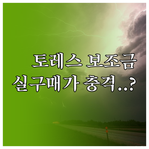 토레스 EVX 2WD 20인치 국비 ..