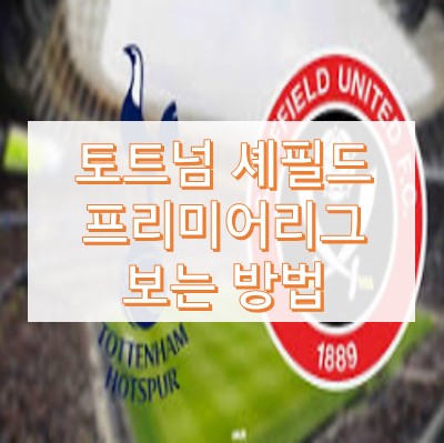 토트넘 셰필드 손흥민 경기 실시간