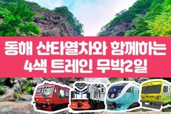 동해산타열차 시간표 예매가능한 날 가격_24