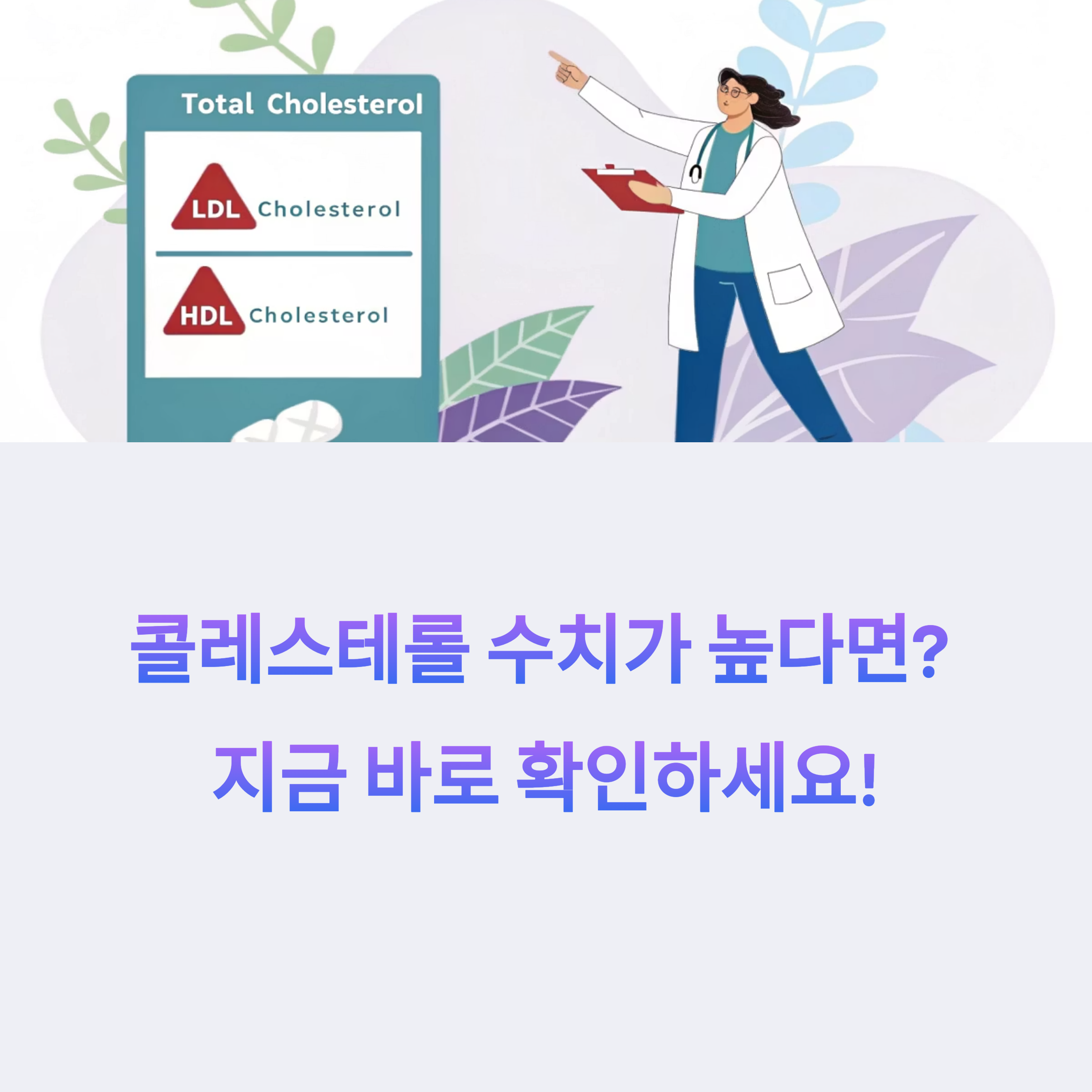 콜레스테롤 수치가 높다면? 지금 바로 확인하세요!
