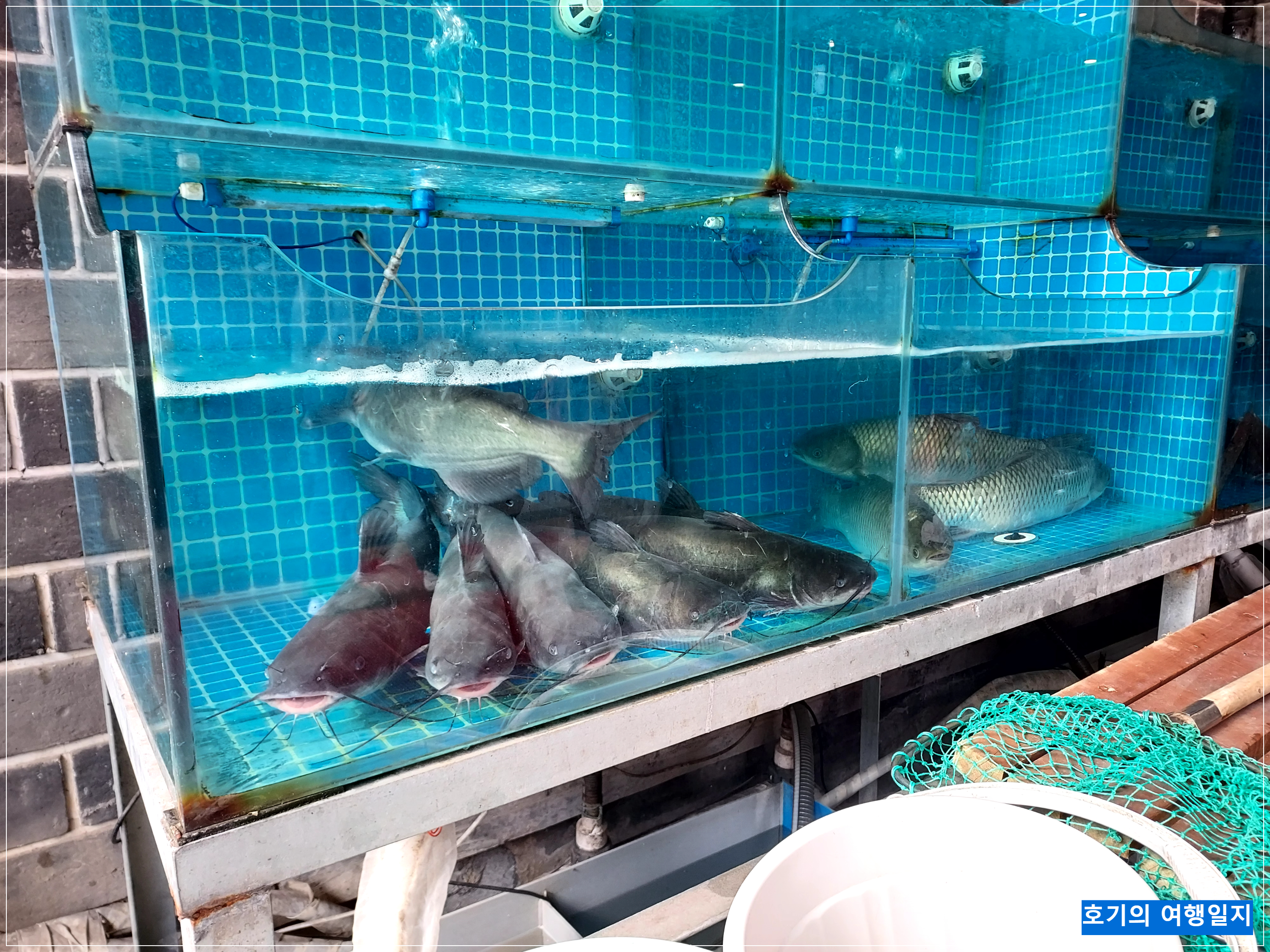중국 칭다오 사천요리