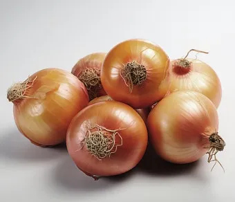 양파 보관법 양파 오래 보관법 3가지 방법_2