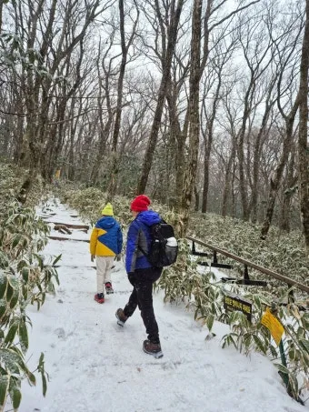 한라산 등산코스 지도 어르신도 가능한 어리목 주차 준비물_17