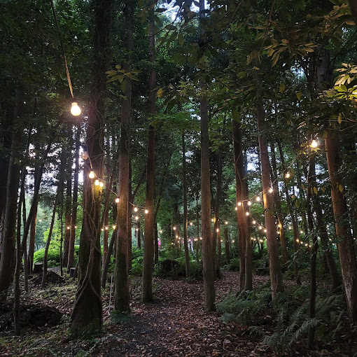 제주 한우 수제버거 '친밀 제주'