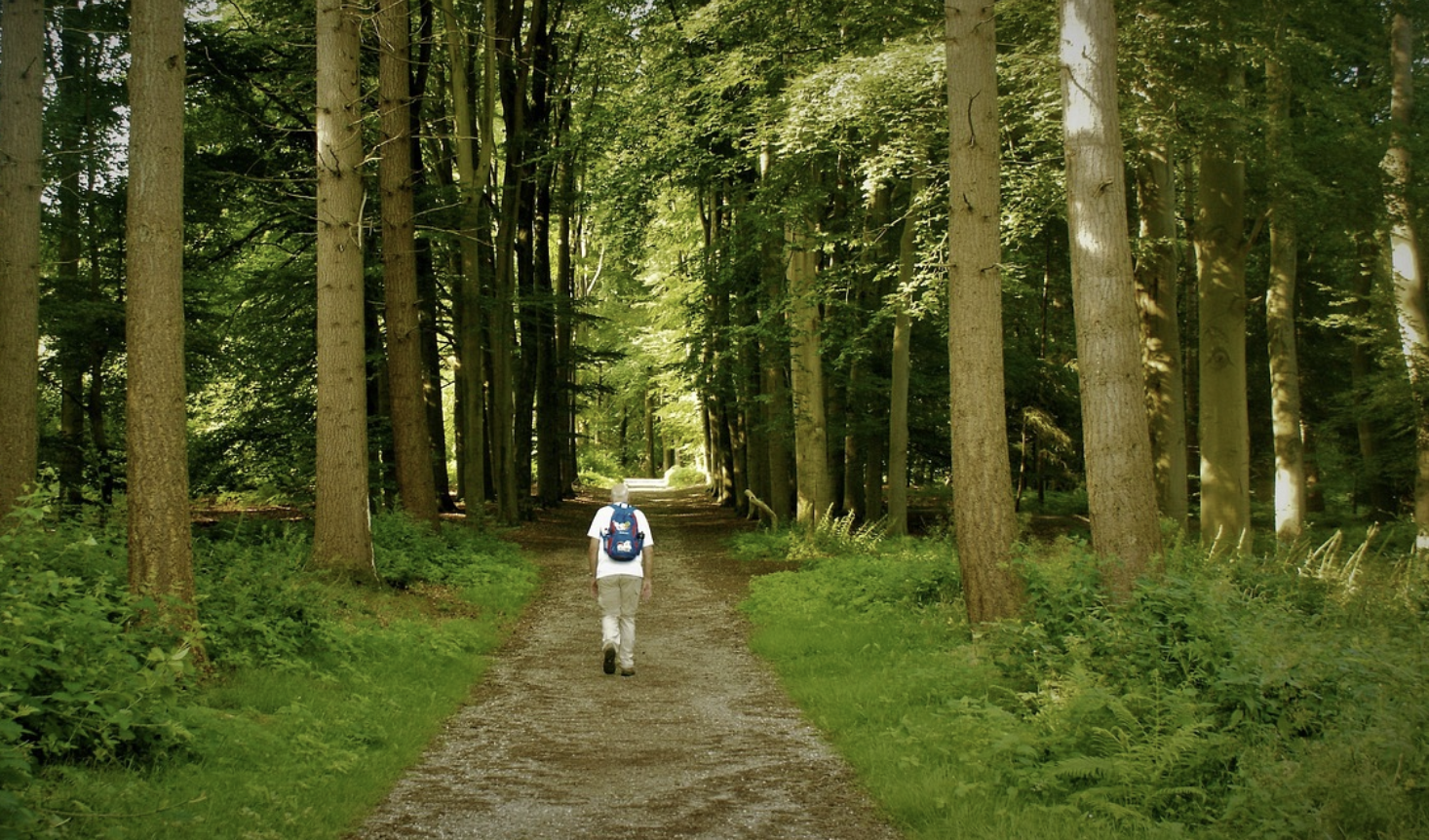 은퇴 후 건강 수명을 늘리는 생활 루틴 만들기