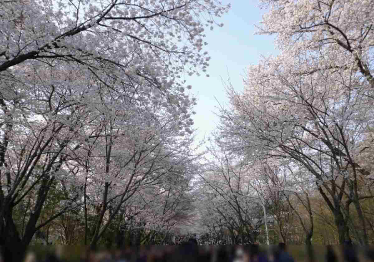 인천 대공원