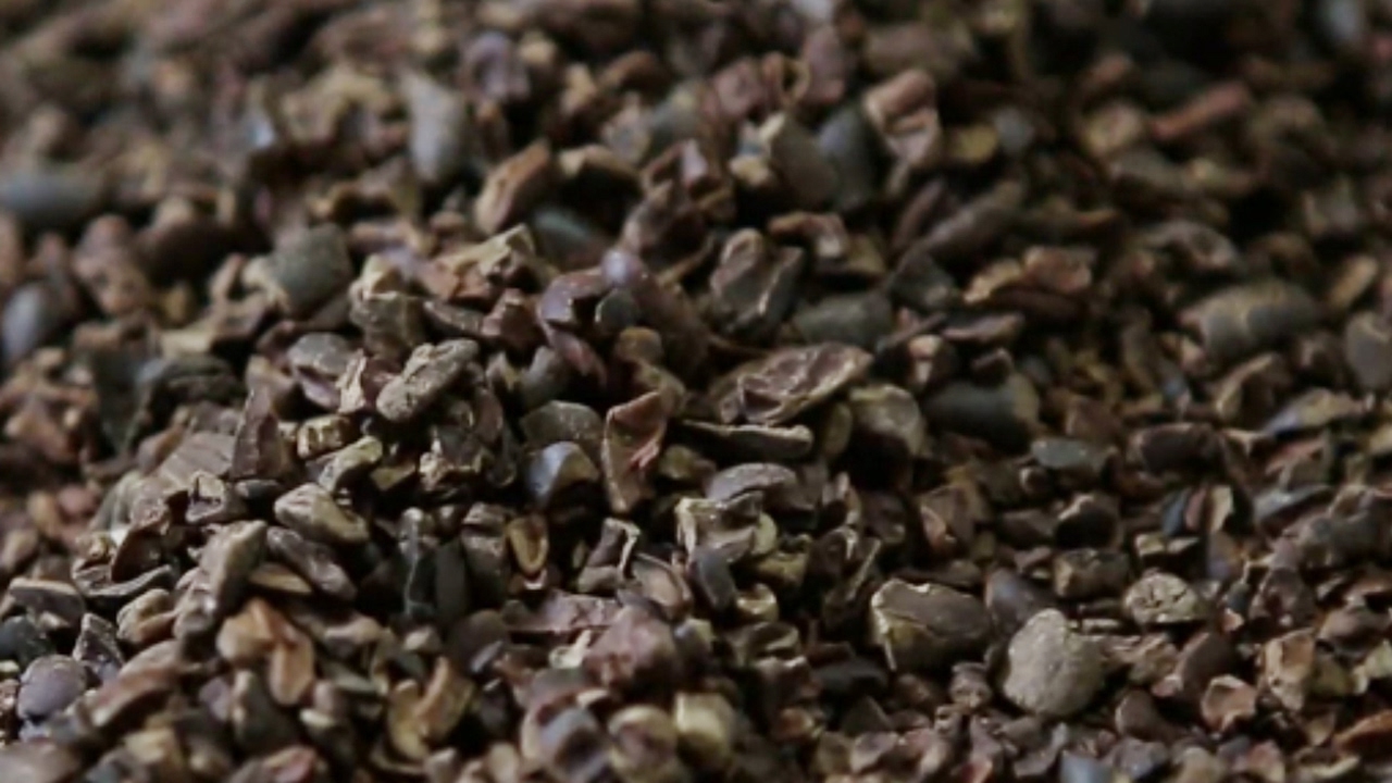 카카오닙스 효능 및 부작용