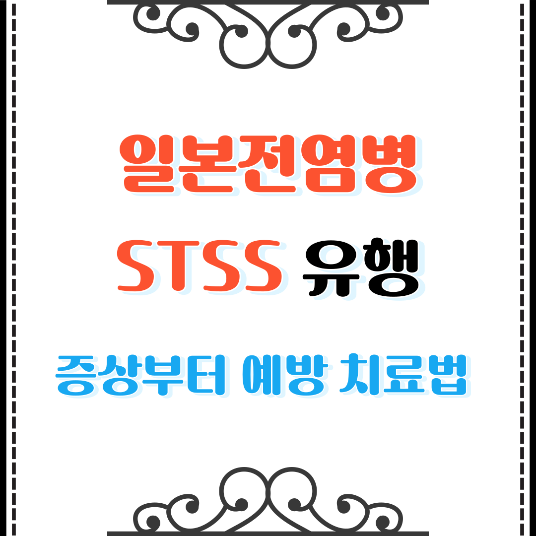 일본전염병 STSS