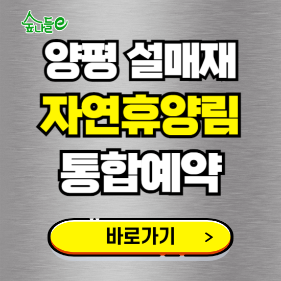 양평설매재 자연휴양림 온라인 예약하기 ❘ 숙소 야영장 캠핑장 실시간 예약 현황 보기 ❘ 경기 양평군