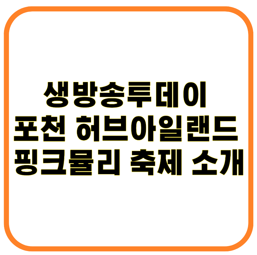 생방송투데이 포천 허브아일랜드 핑크뮬리 축제 소개 인생샷 명소 총정리