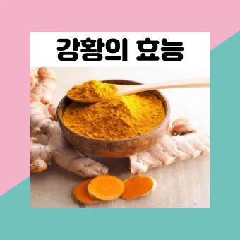 강황가루 효능 건강효과 및 활용방법 정리_15