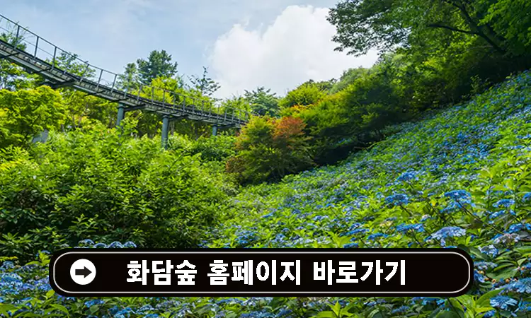 화담숲-예약-꿀팁-홈페이지-예약방법-모노레일-사전예약-화담채-관람-가이드-2024-단풍축제-일정-설명-이미지