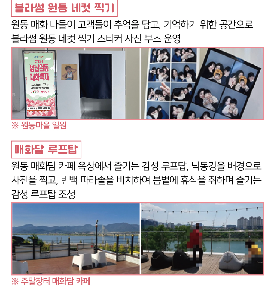 2025 원동 매화축제 일정, 프로그램, 주차, 맛집 등 5분 총정리