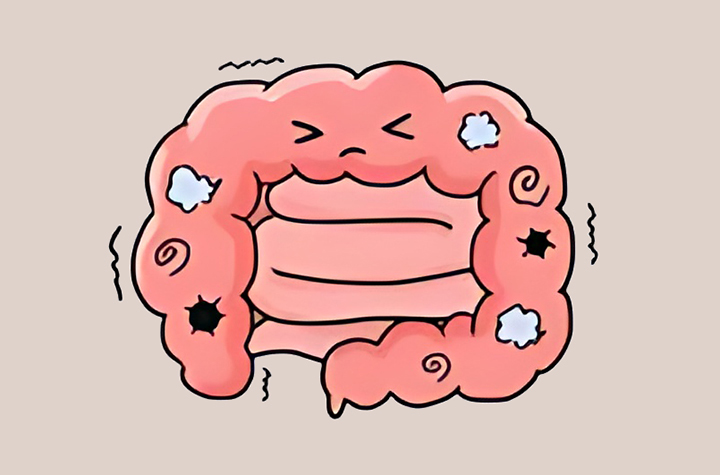 소화-기능-개선-및-장-건강-증진