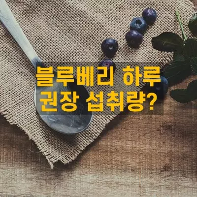 블루베리 하루 권장 섭취량?
