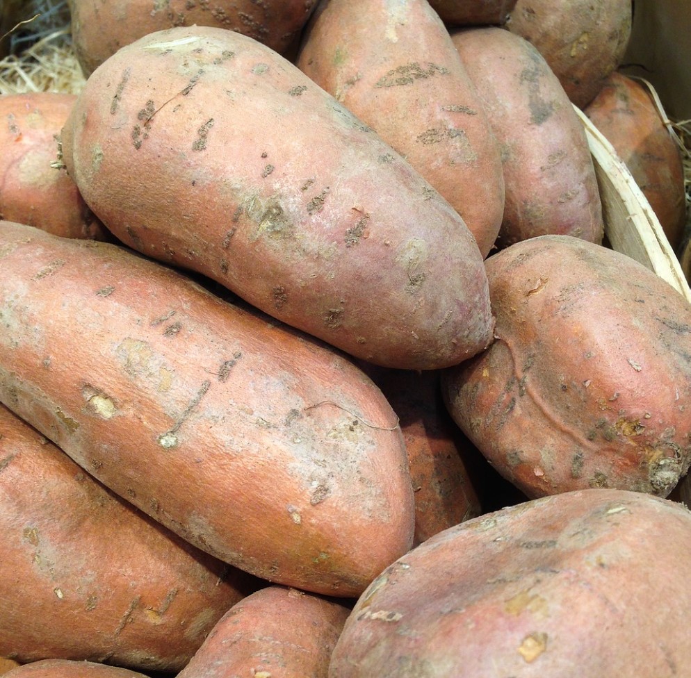 고구마 세척법과 보관법