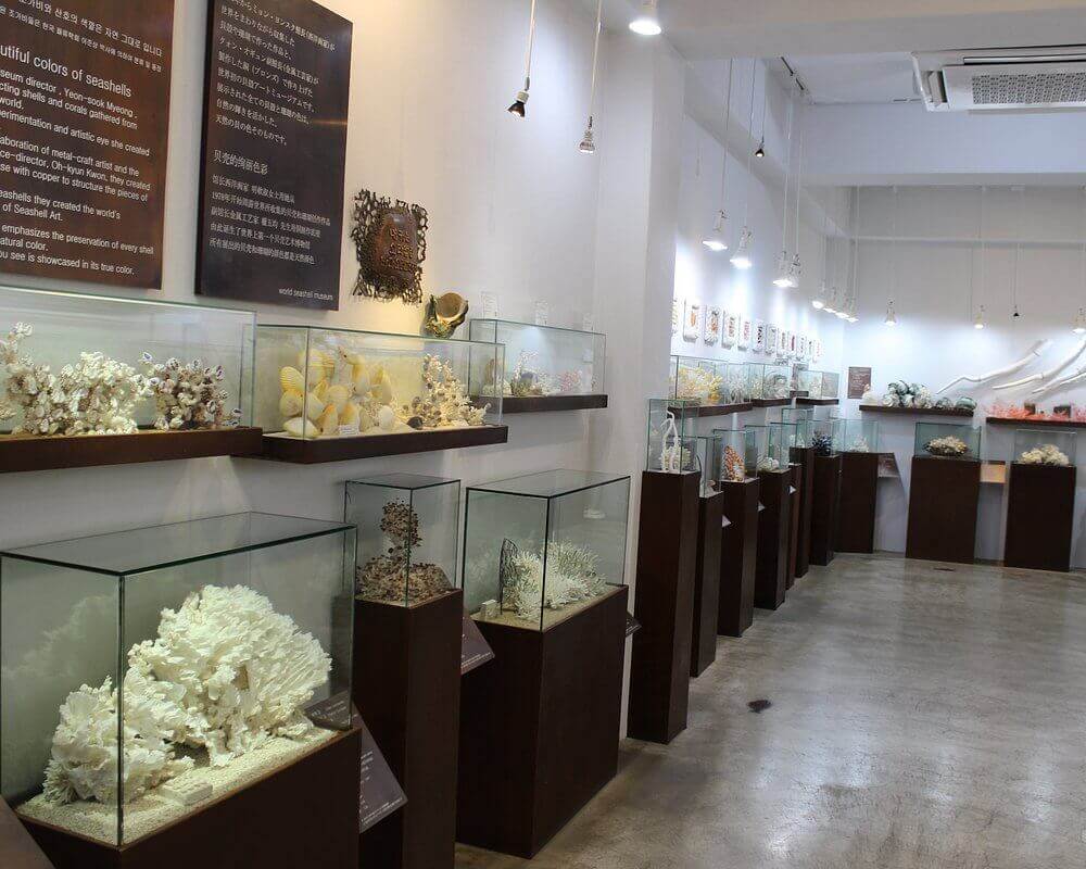 제주도 박물관 추천 (위치, 이용시간, 예매방법)