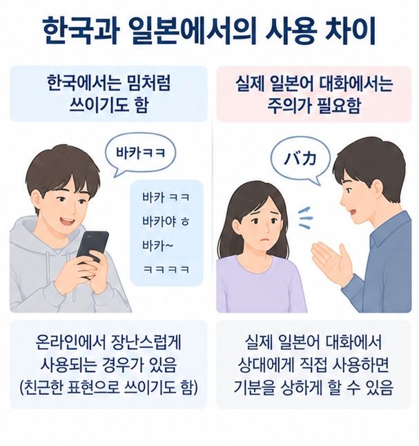 한국 온라인의 장난스러운 바카와 실제 일본어에서 모욕적으로 들릴 수 있는 차이를 설명하는 이미지