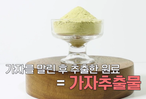 가자추출물