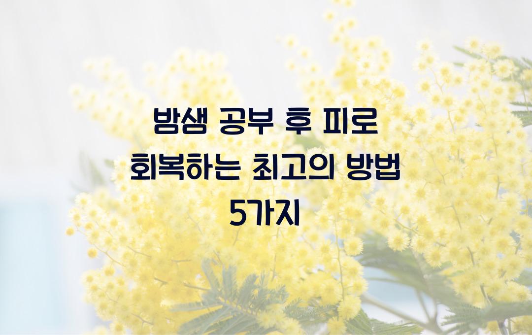 밤샘 공부 후 피로 회복하는 최고의 방법